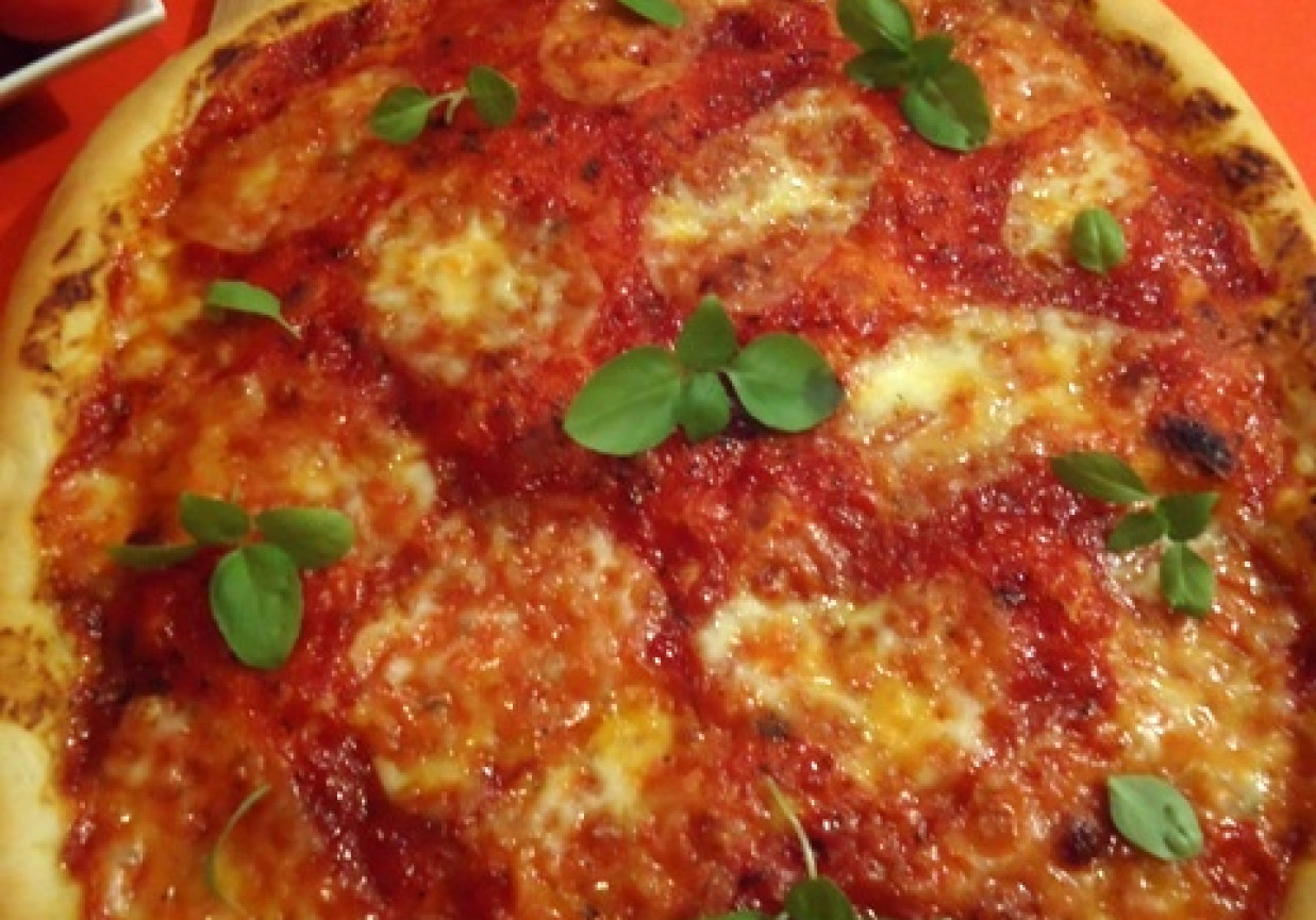 Pizza Margerita foto