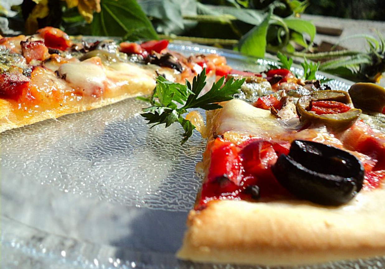 Pizza na cienkim cieście z trzema serami  foto