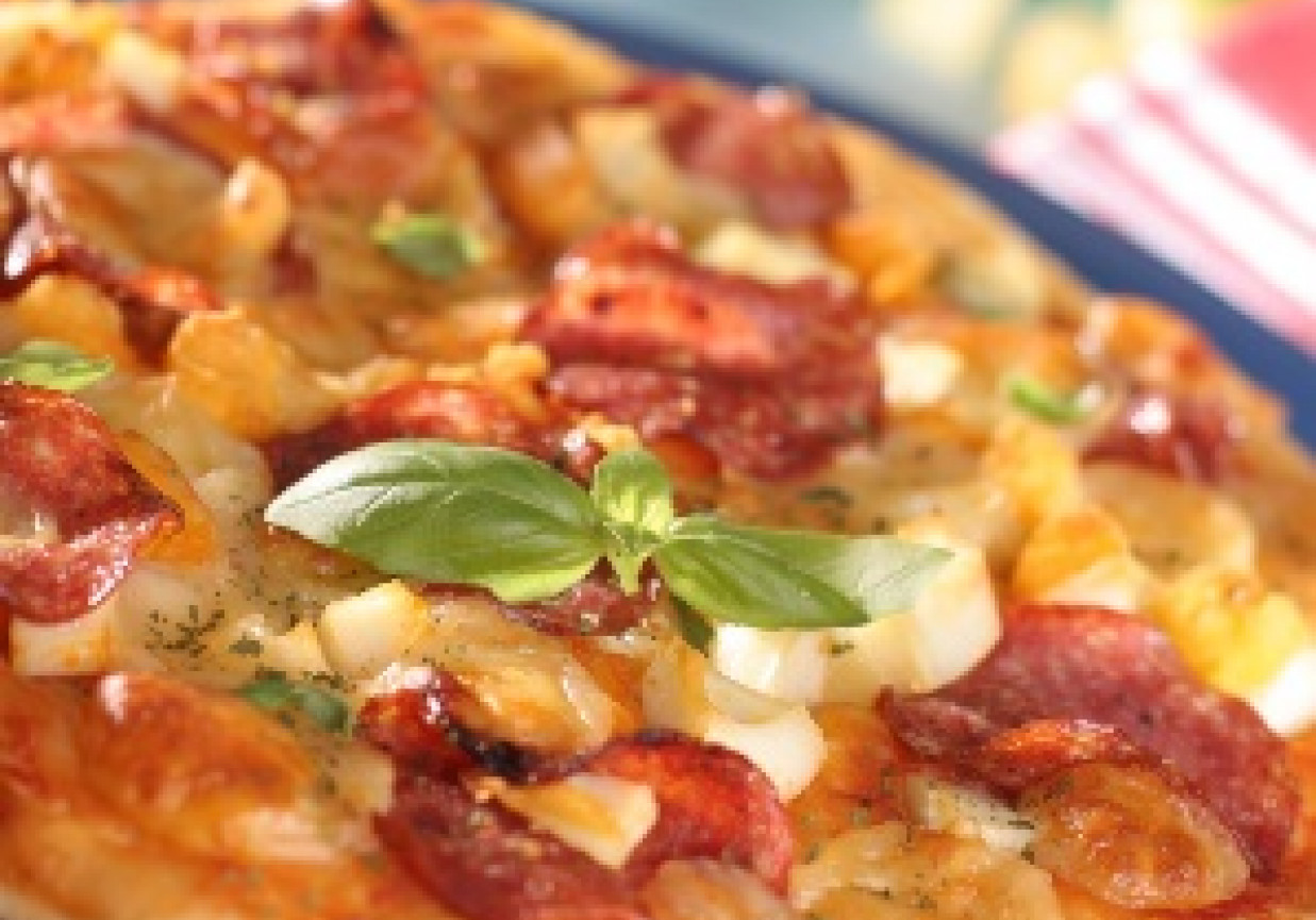 Pizza neapolitańska z salami – pizza napoletana con salami foto