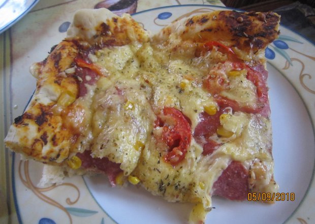 Fotografia przedstawiająca Pizza salami