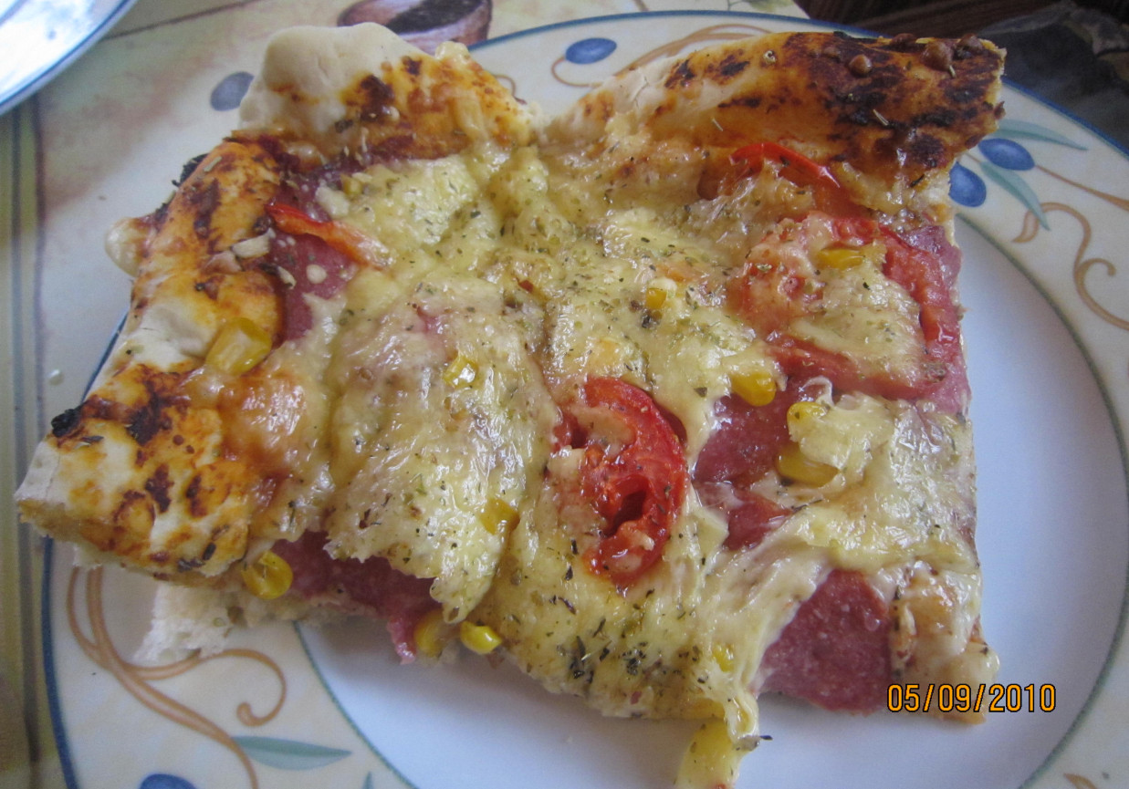 Pizza salami foto