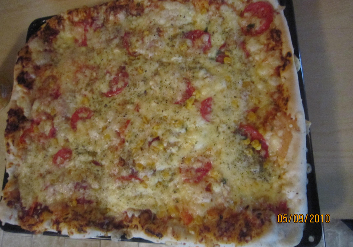 Pizza salami foto