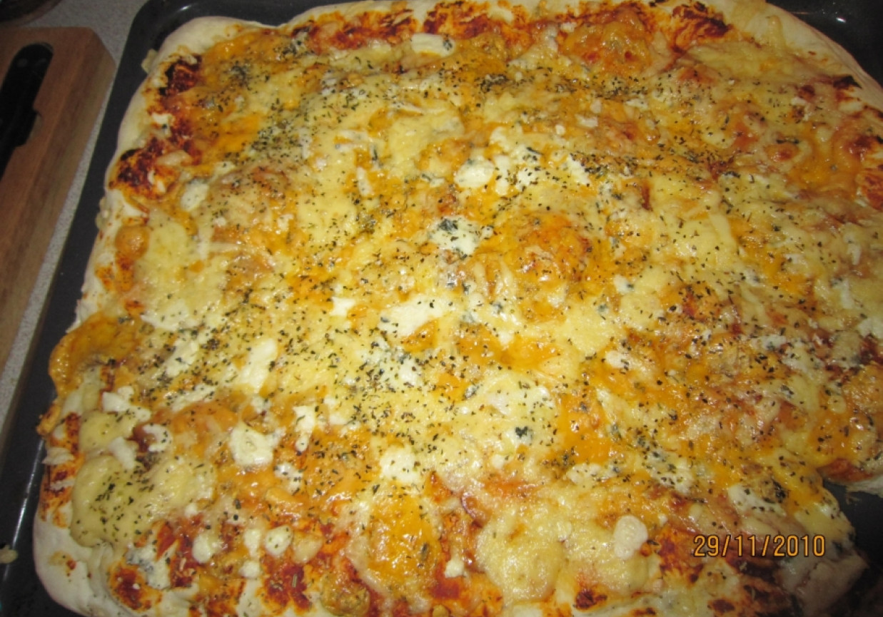 Pizza serowa foto