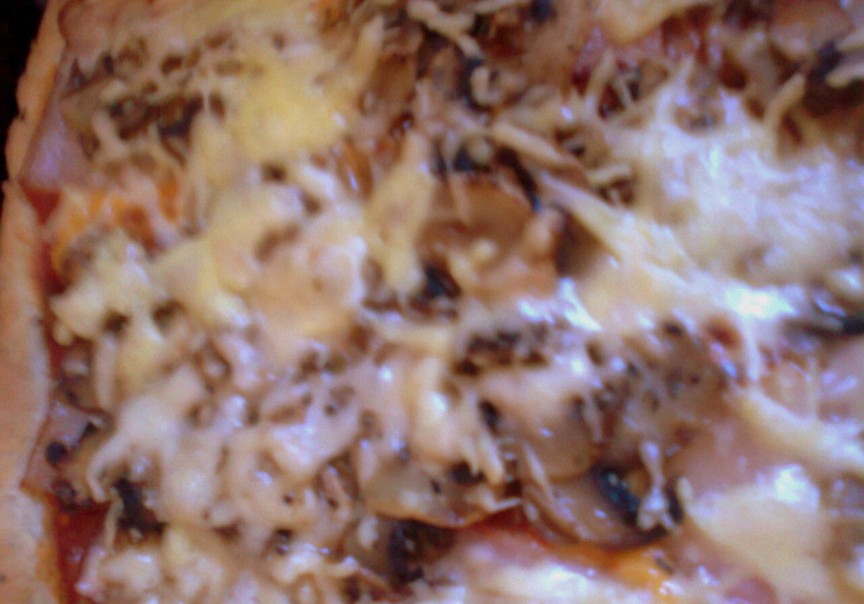 pizza z boczkiem, pieczarkami i serem, spód z dodatkiem oregano foto