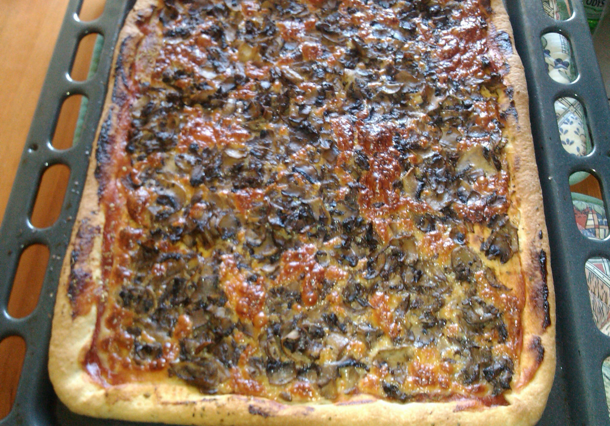 Pizza z duszonymi pieczarkami i mozzarellą  foto