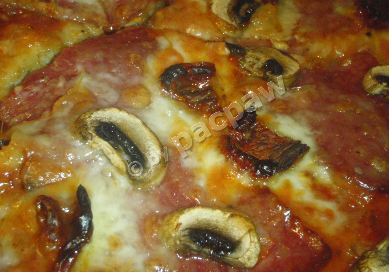 Pizza z grand salami i suszonymi pomidorami foto