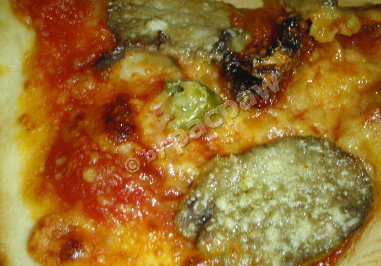 Pizza z grillowaną dziczyzną foto
