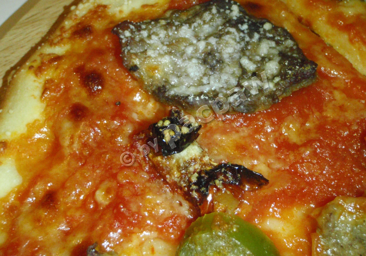 Pizza z grillowaną dziczyzną foto