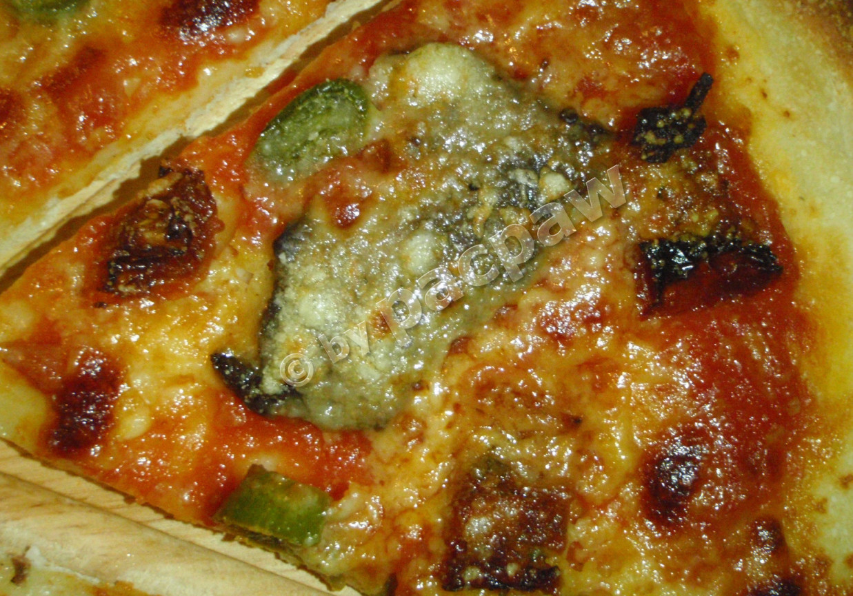 Pizza z grillowaną dziczyzną foto