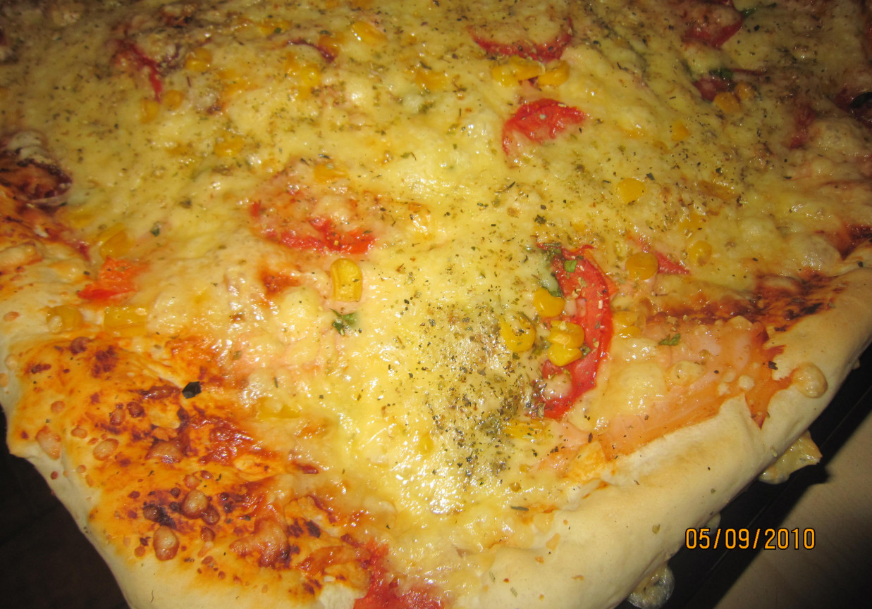 Pizza z łososiem i pietruszką foto