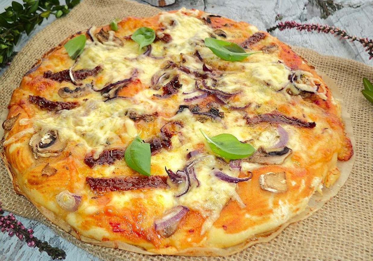 Pizza z mozarellą ,suszonymi pomidorami cebulą i sosem cygańskim foto
