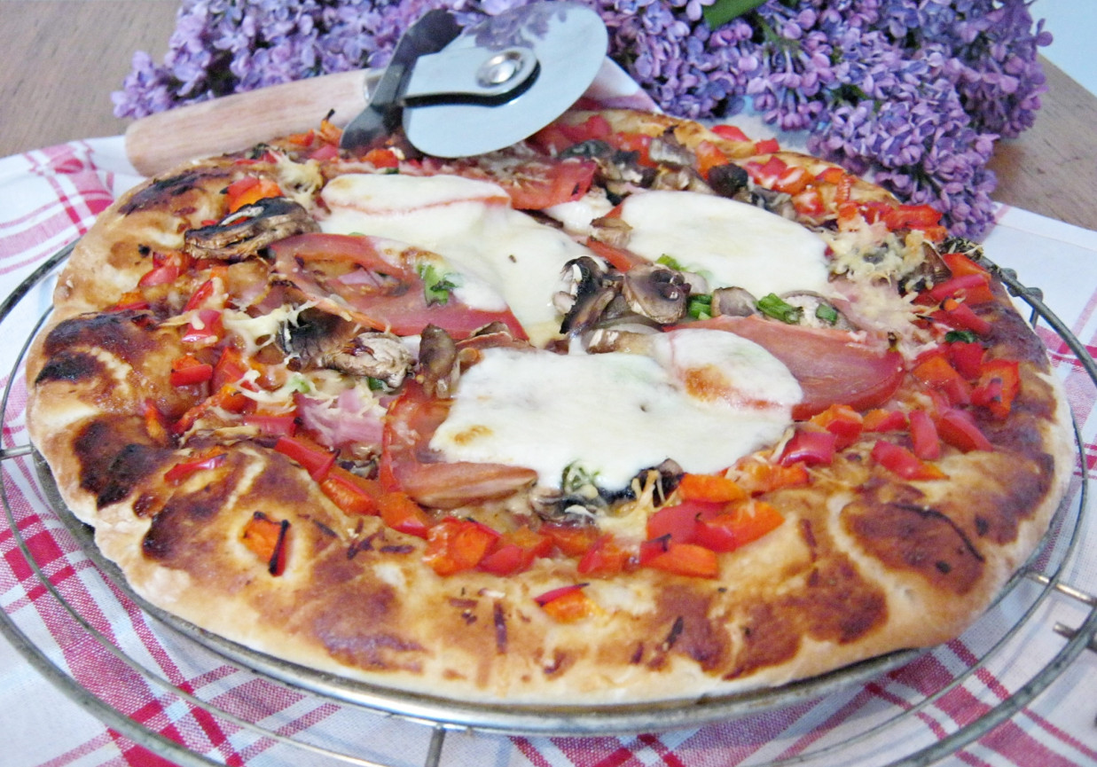 Pizza z mozzarellą i pomidorami foto