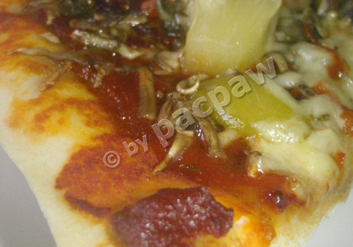Pizza z oliwkami, pepperoni i ananasem foto