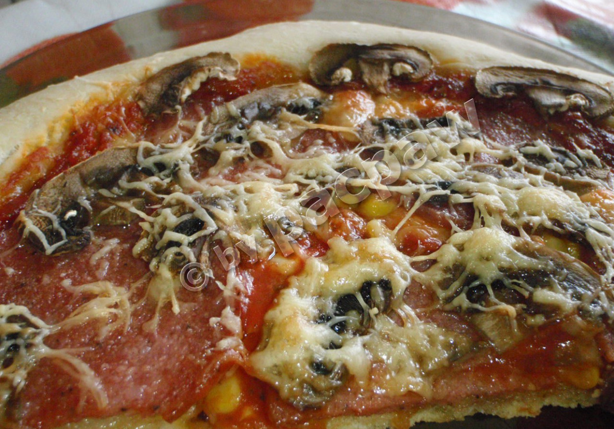 Pizza z salami i mozzarellą foto