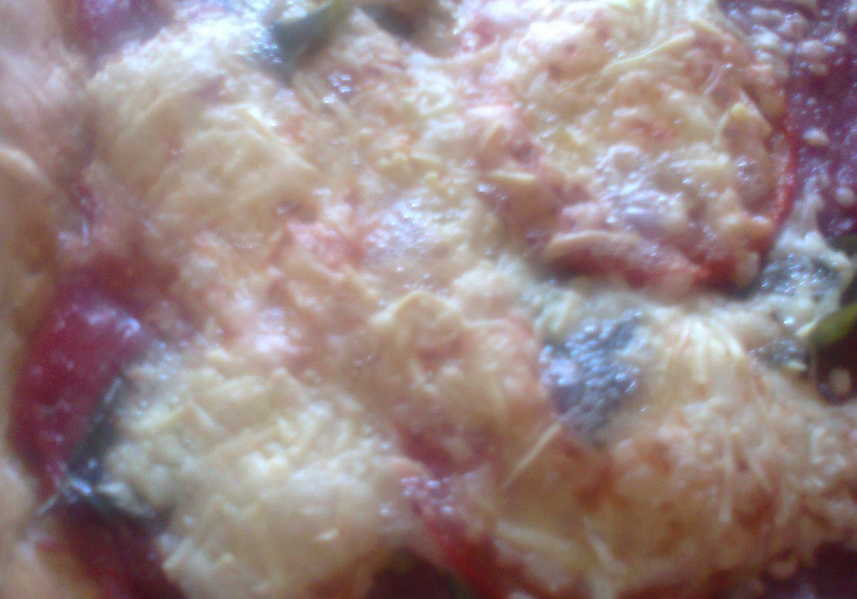 Pizza z salami i serem greckim foto