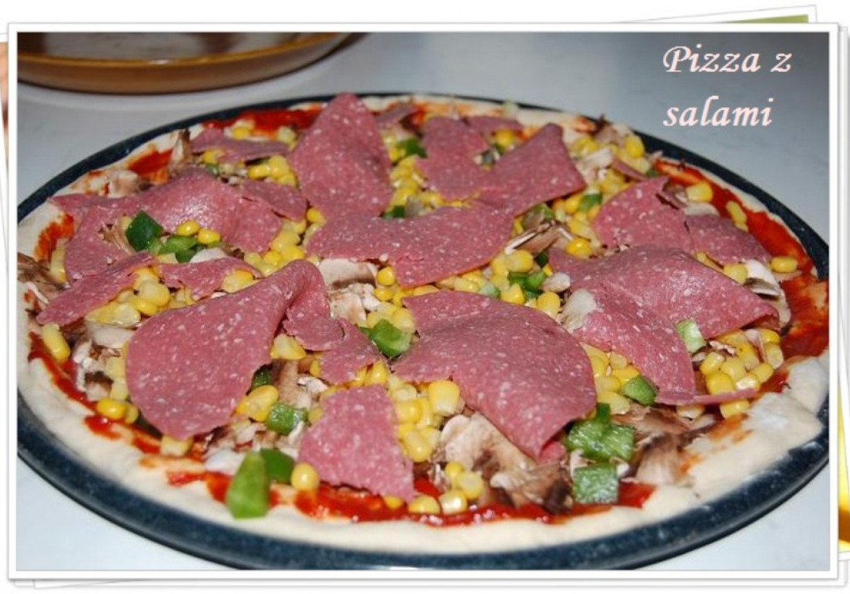 Pizza z salami na cieście z mlekiem foto