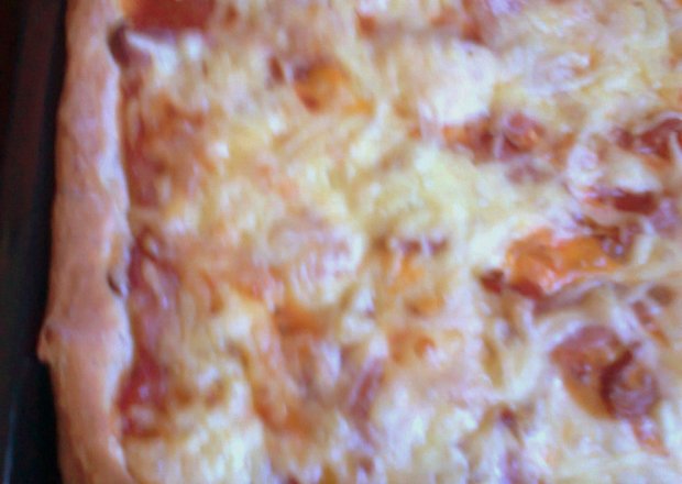 Fotografia przedstawiająca pizza z szynką i serem, spód z dodatkiem oregano