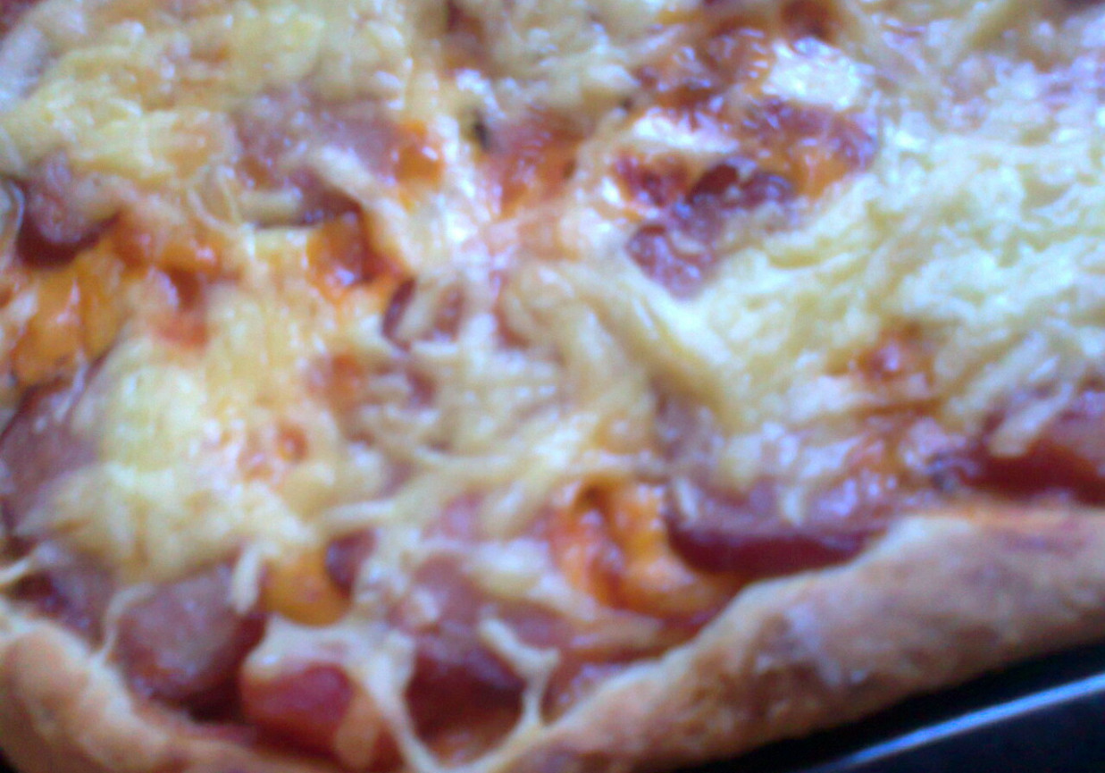 pizza z szynką i serem, spód z dodatkiem oregano foto