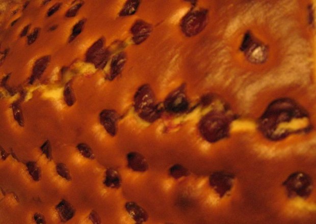 Fotografia przedstawiająca Placek z wiśniami