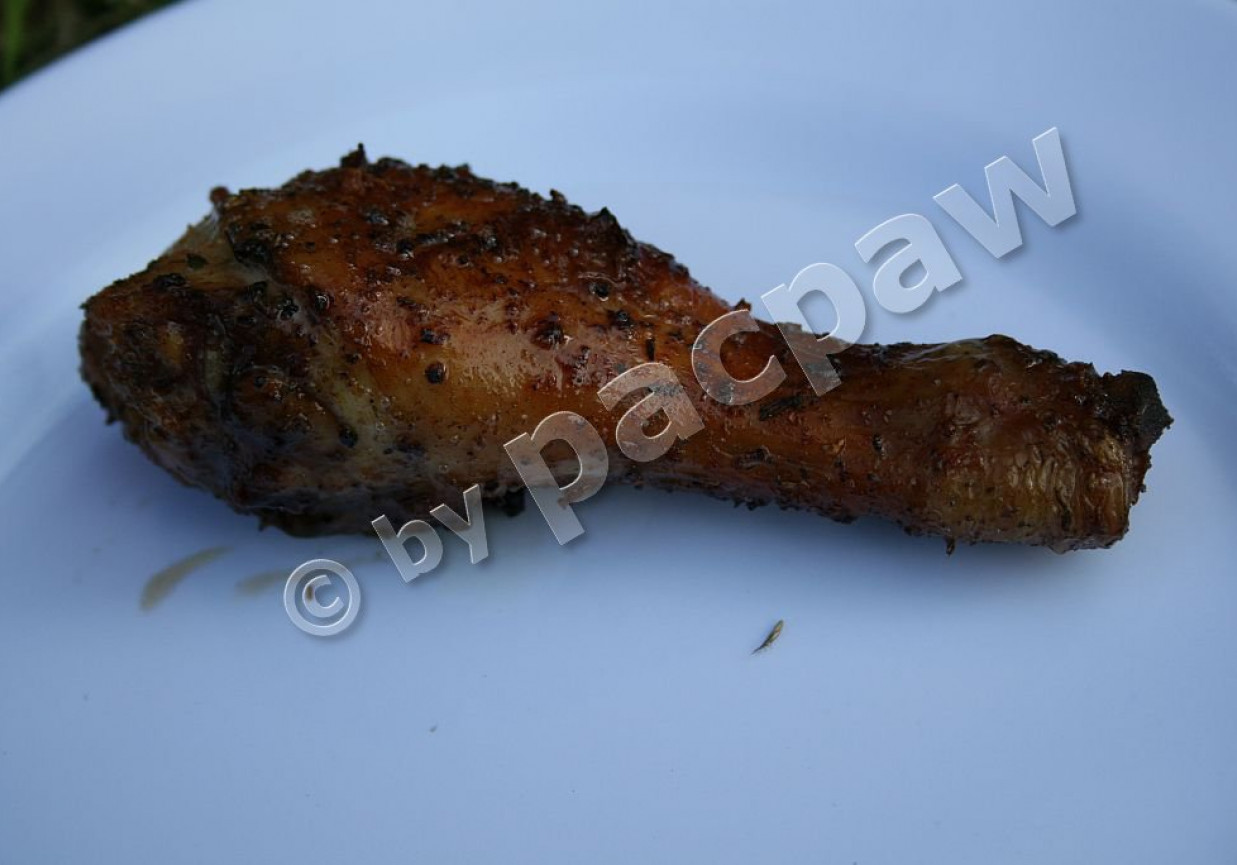 Podudzia kurczaka pikantne foto