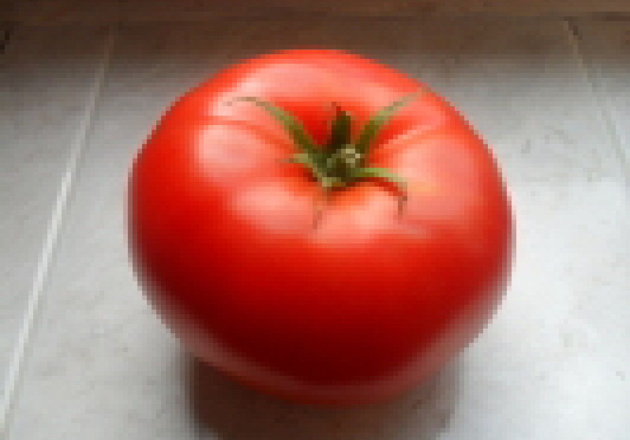 Pomidor pod lupą