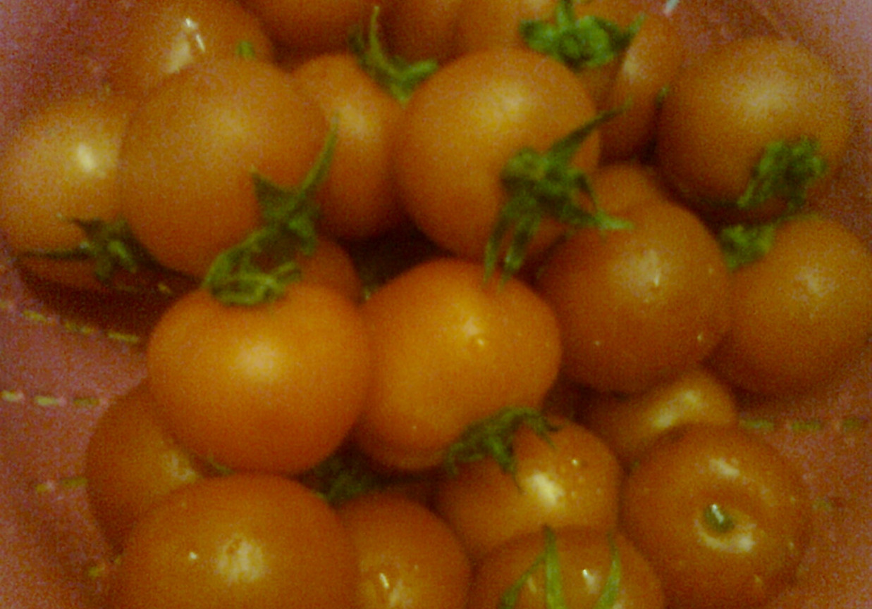 pomidorki z czosnkiem :) foto