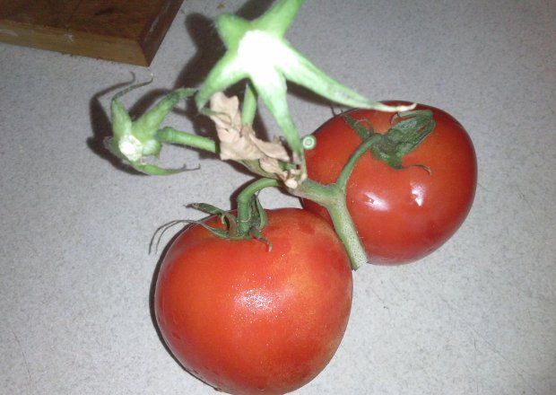 Fotografia przedstawiająca Pomidorkowe szaleństwo