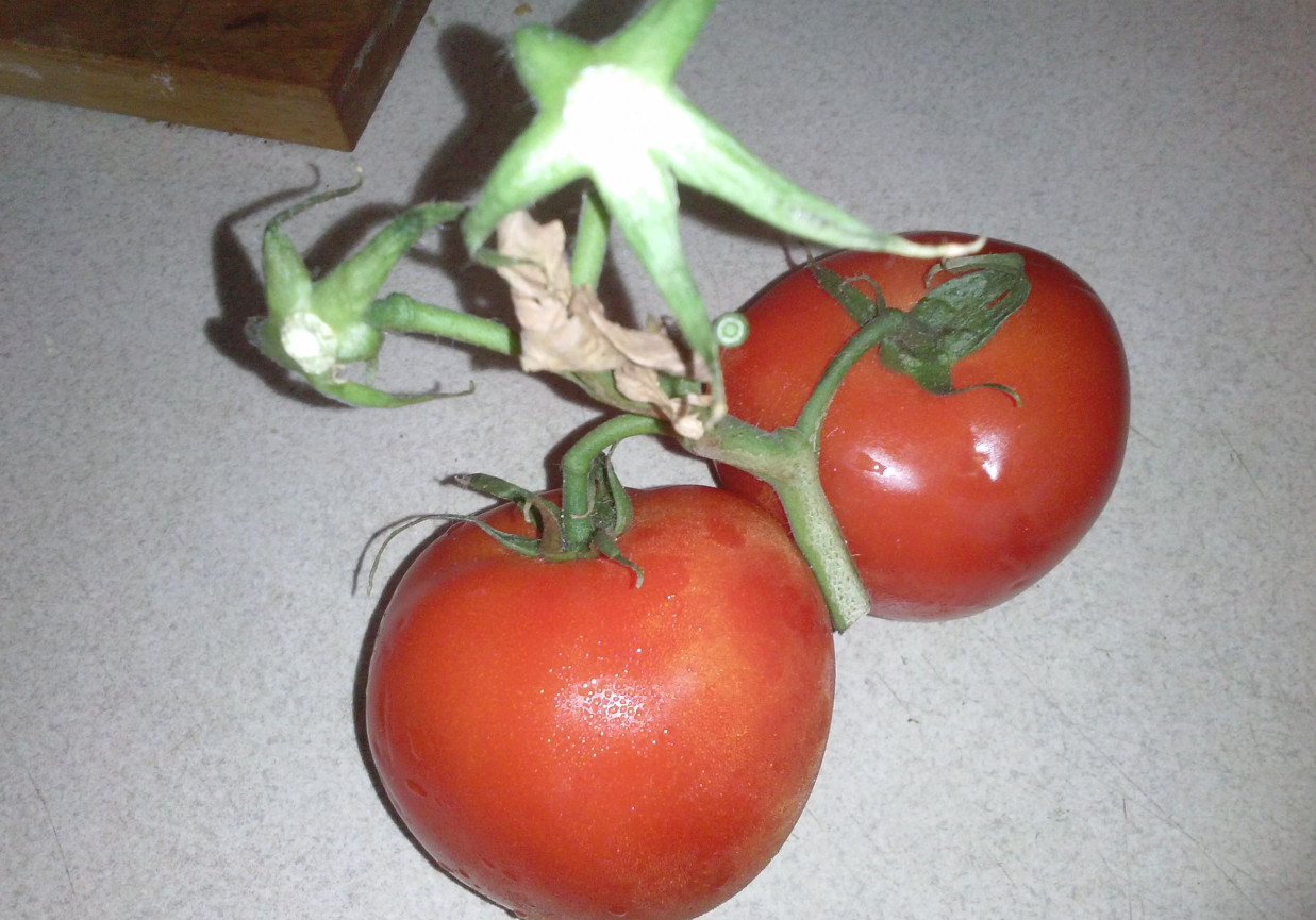 Pomidorkowe szaleństwo foto