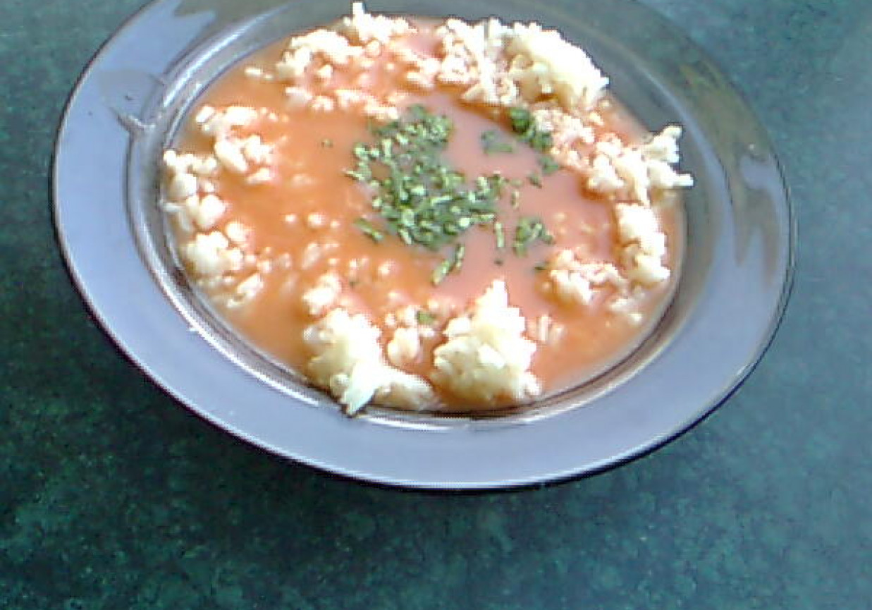 Pomidorowa z rosołu z ryżem foto