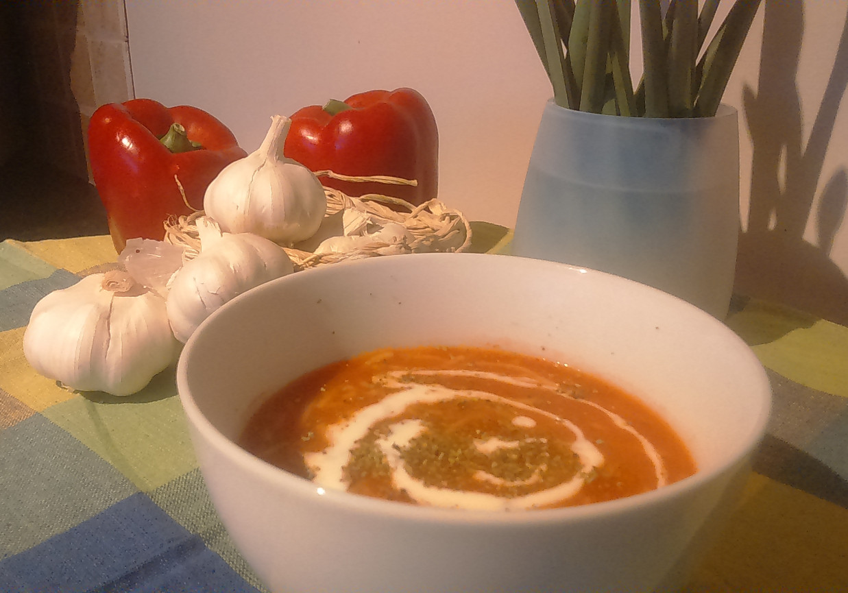 Pomidorowa ze świeżych pomidorów foto