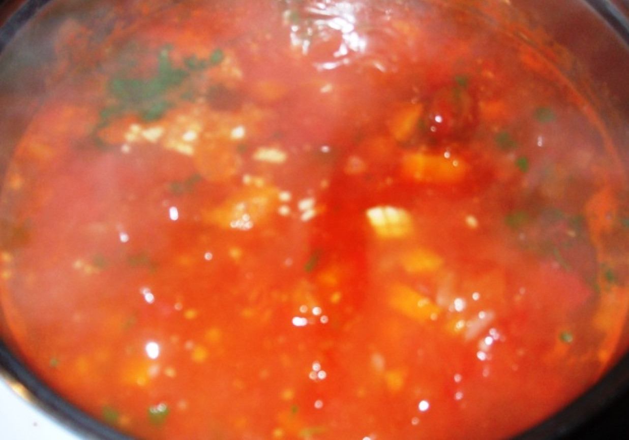 Pomidorówka na pomidorach polnych foto