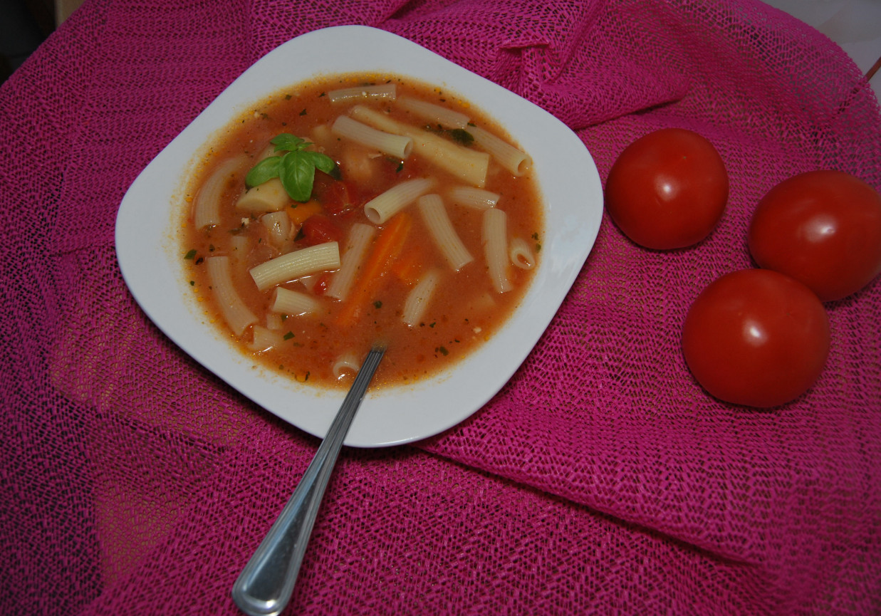Pomidorówka z bazylią i makaronem rurki foto