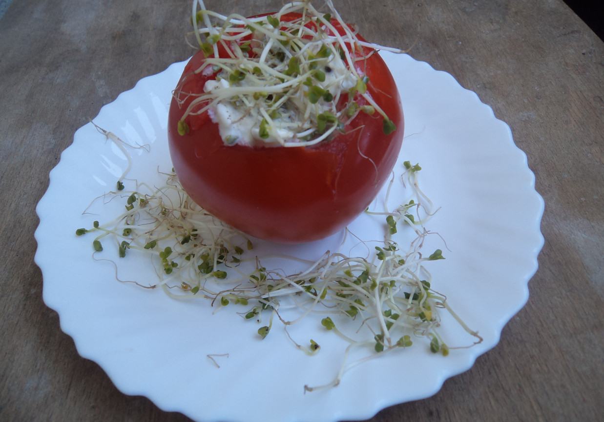 Pomidory faszerowane serkiem wiejskim i kiełkami:) foto