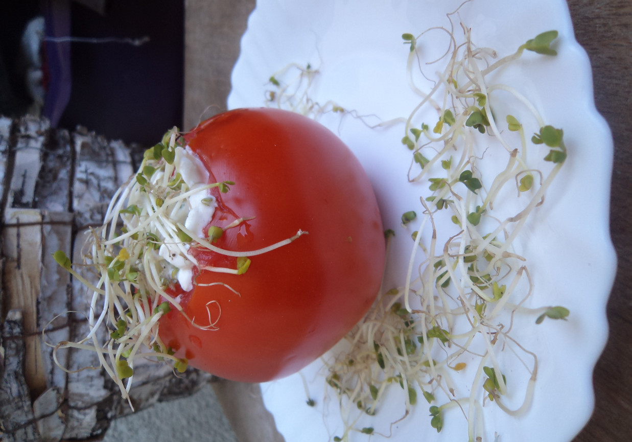 Pomidory faszerowane serkiem wiejskim i kiełkami:) foto