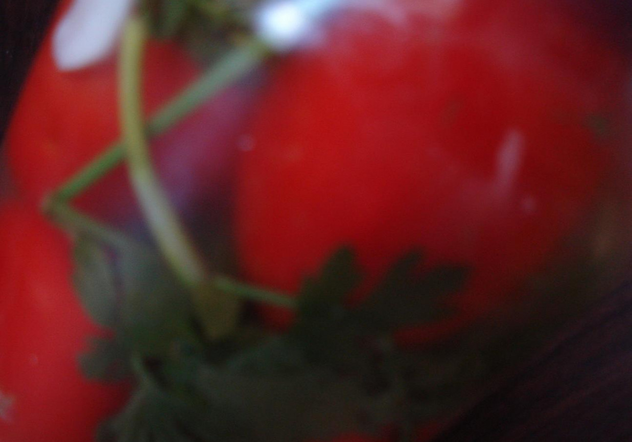 Pomidory konserwowe foto