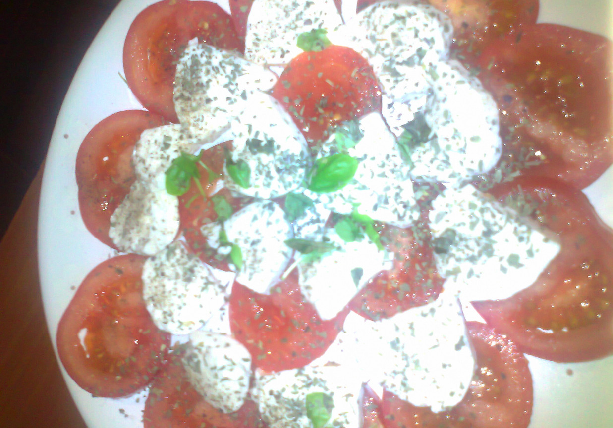 pomidory z mozzarellą foto
