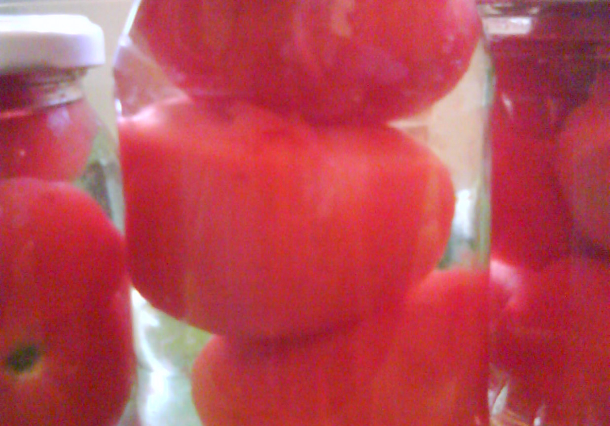 Pomidory \'z puszki\' foto