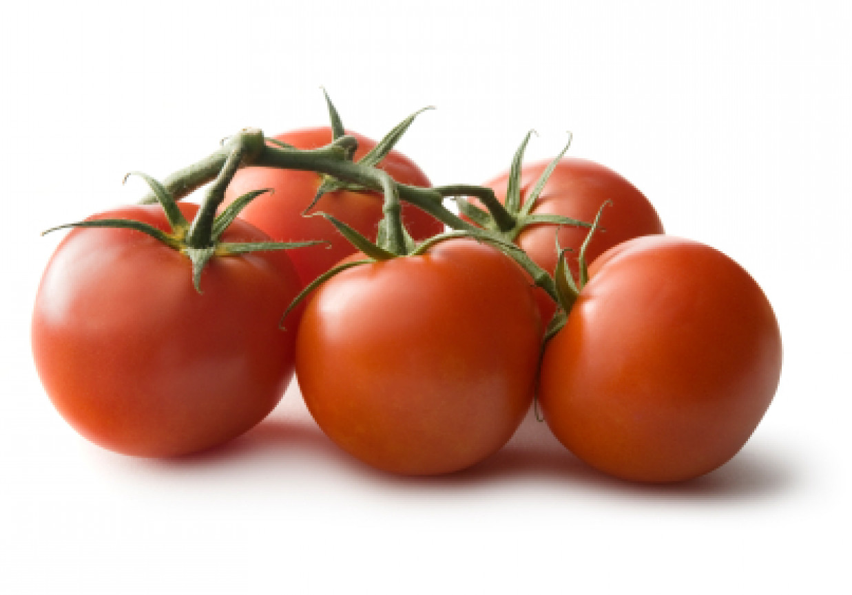 Pora na pomidora