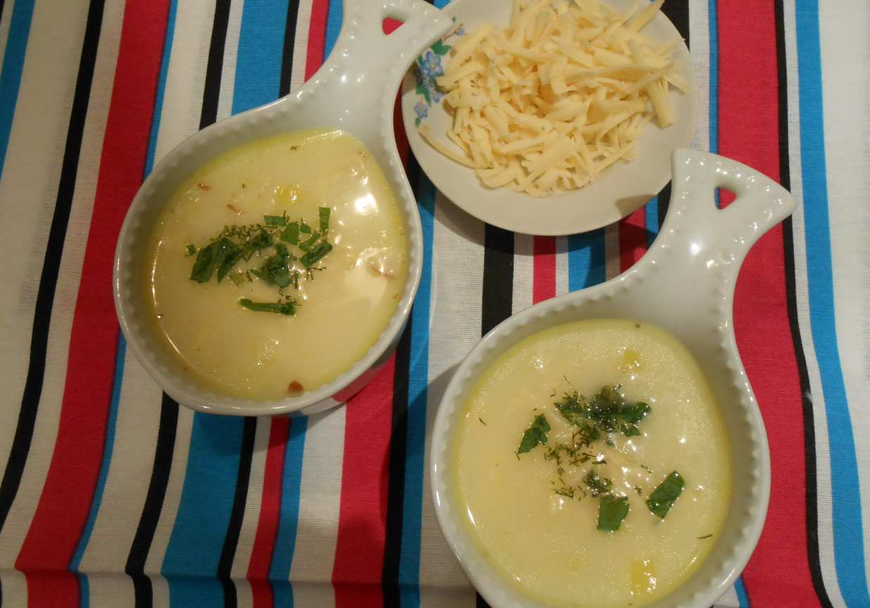 Porowa zupa duńska. foto