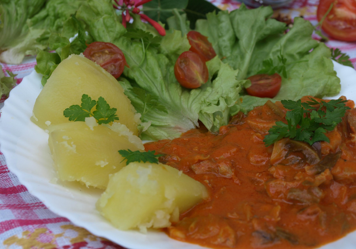 Potrawka drobiowa z młodą kapustą w sosie pomidorowo-śmietanowym foto