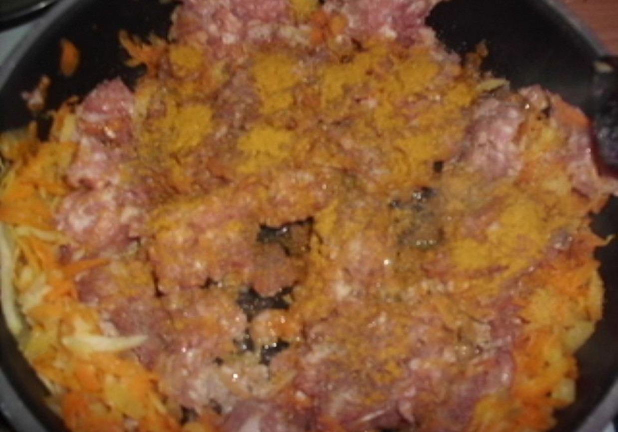 Potrawka z mięsa mielonego z warzywami foto