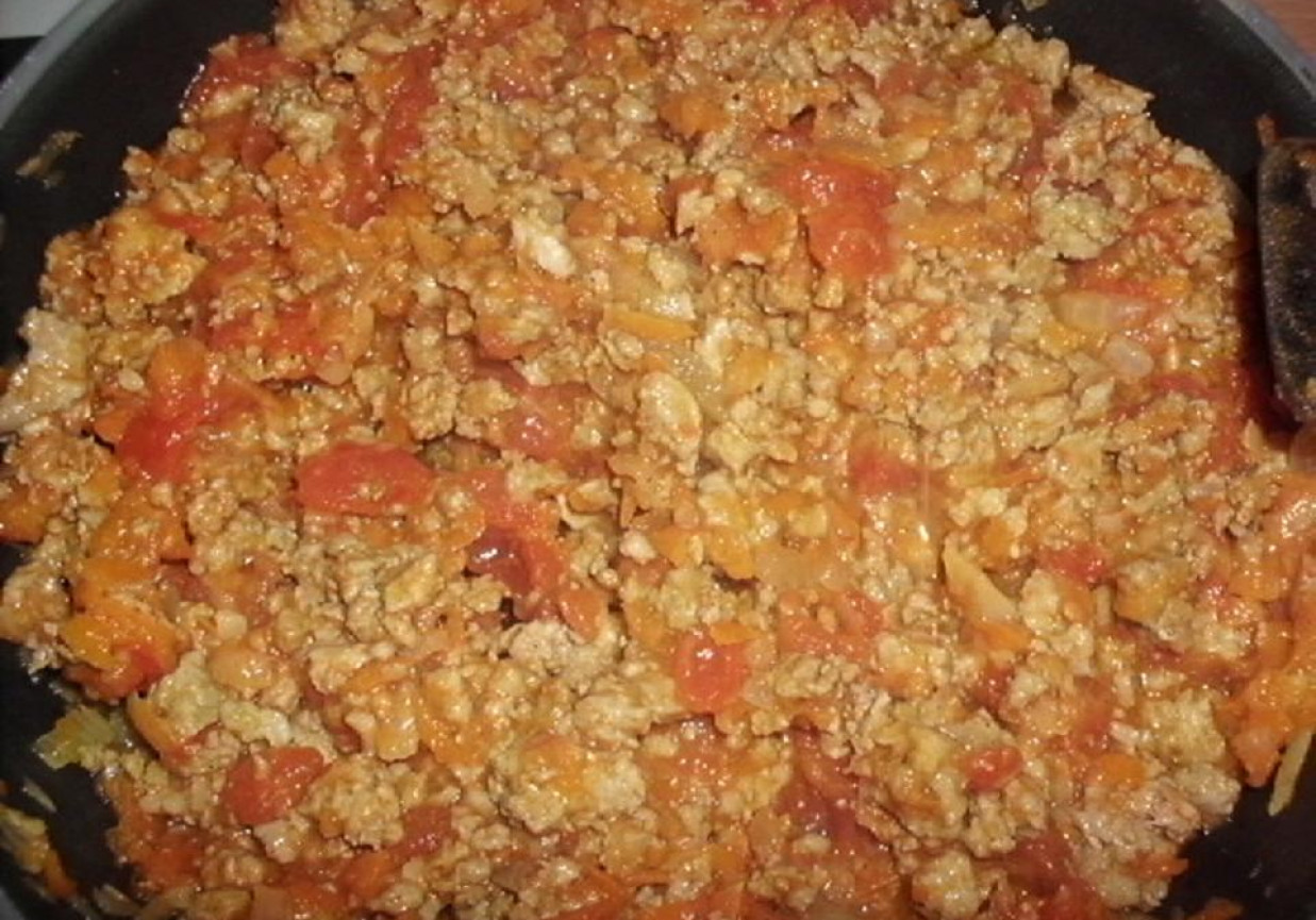 Potrawka z mięsa mielonego z warzywami foto