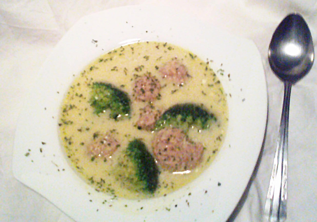Pożywna zupa brokułowa foto