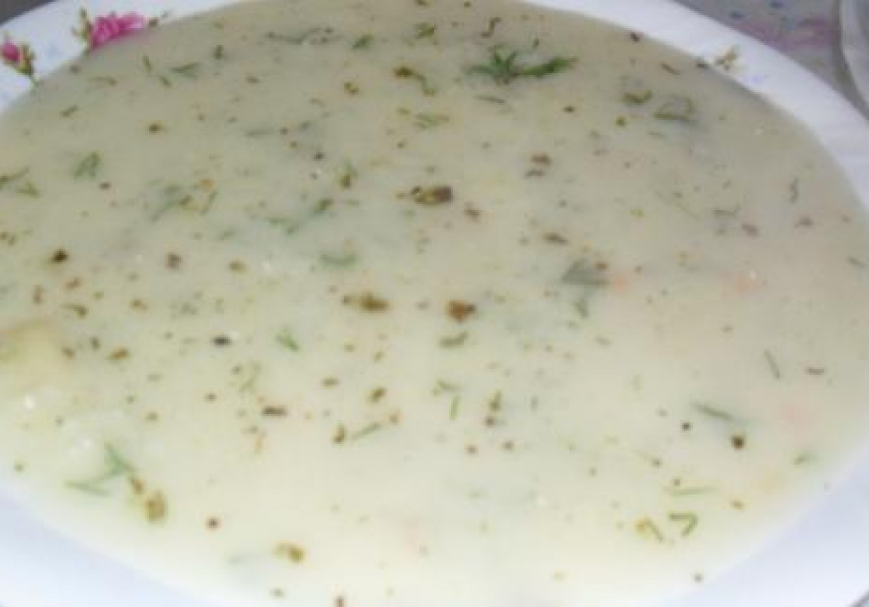 pożywna zupa koperkowa foto