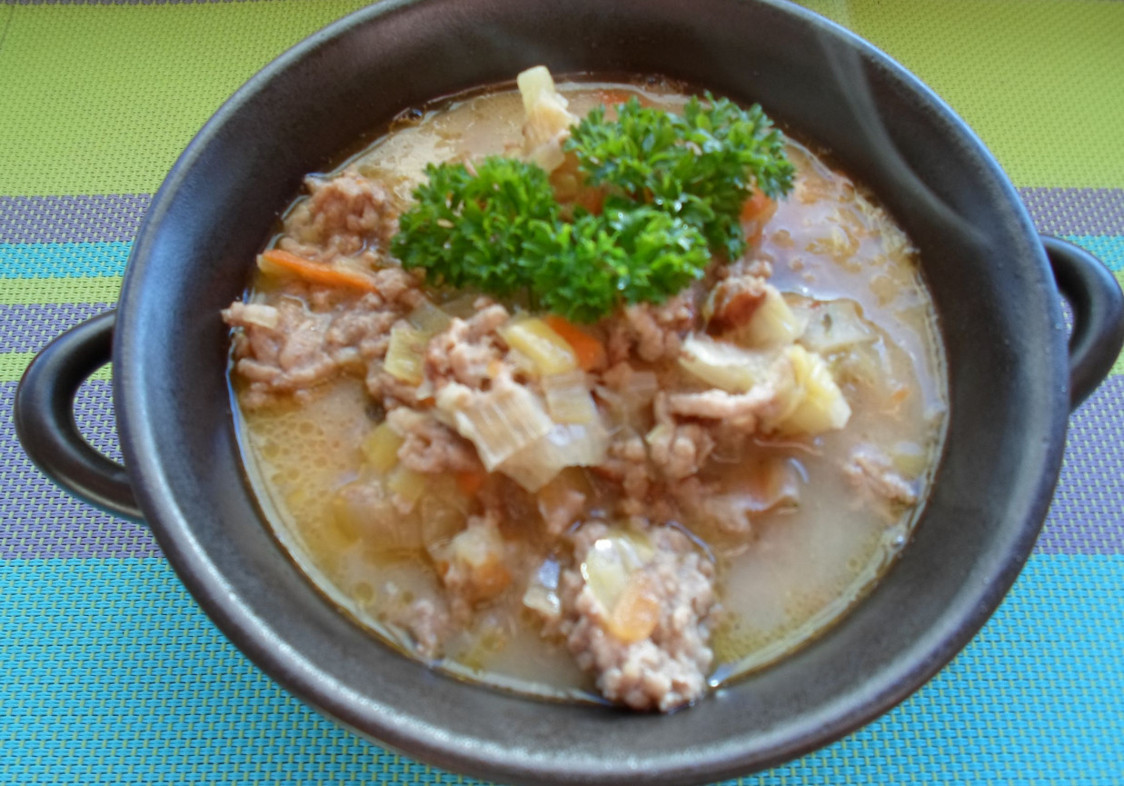 Pożywna zupa porowa z mięsem mielonym foto