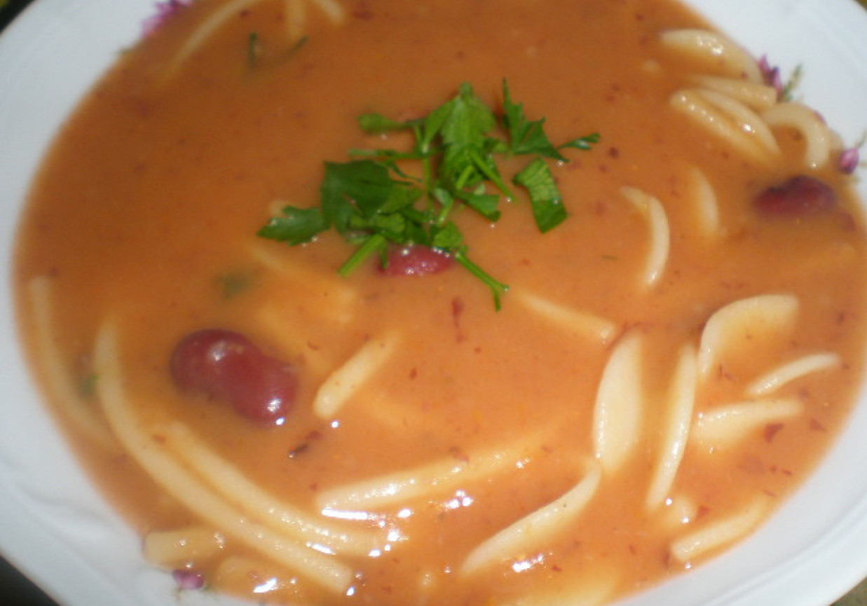 Pożywna zupa z czerwonej fasoli foto