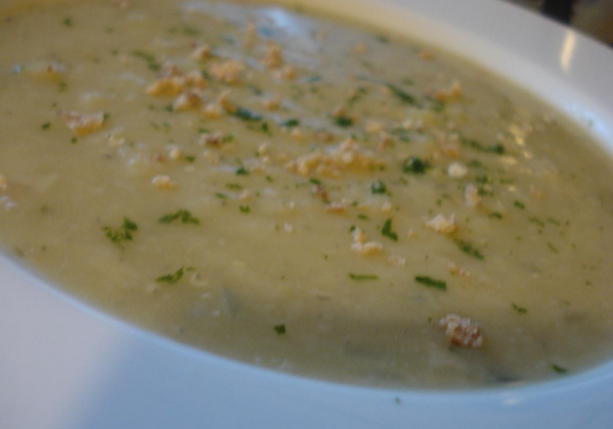 Pożywna zupa z soczewicy foto
