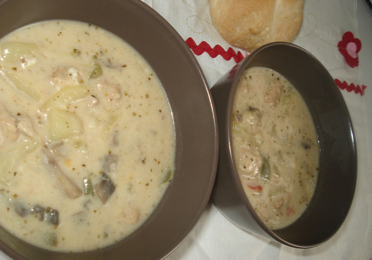 Pożywna zupa z szynką w składzie foto