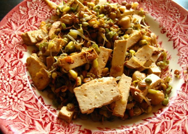 Fotografia przedstawiająca Prażone kiełki z tofu