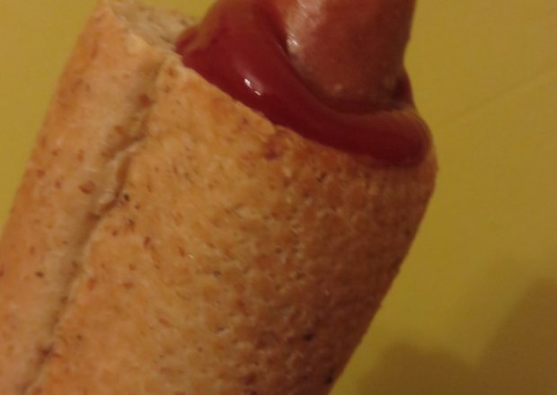 Fotografia przedstawiająca prosty hot dog